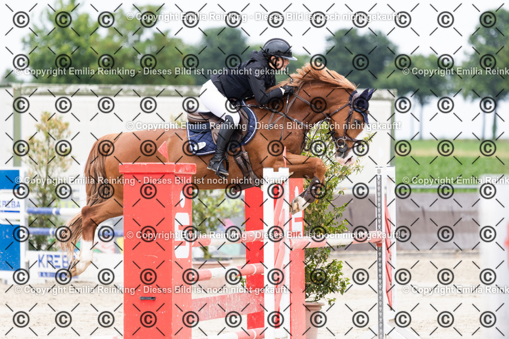 CL5A2300 | Emilia Reinking Fotografie - Realisiert mit Pictrs.com