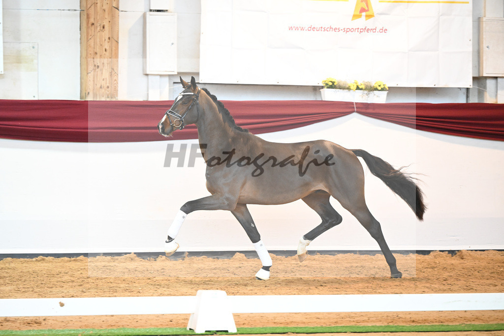 Kat-Nr. 61 v. Goldberg_Reglauer_66222023 | hf-fotografie - Realisiert mit Pictrs.com