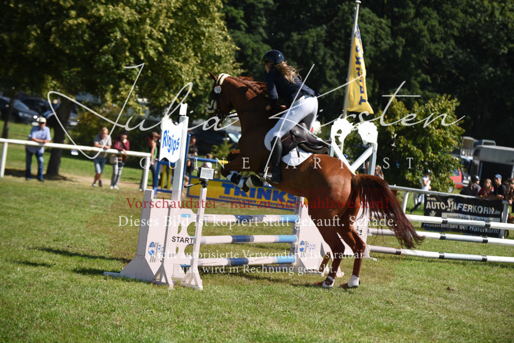 DSC_9354 | Pferde- und Turnierfotografie in Westsachsen. Pferdeportraits, Auftragszeichnungen und intuitive Kunst.