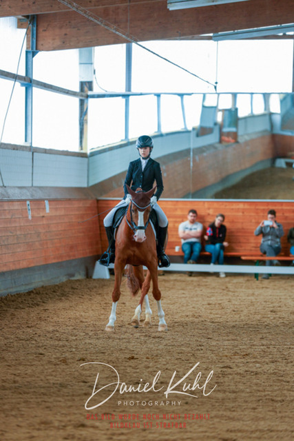_62_5436 | Turniersportfotografie; Pferdefotografie; Dressurfotografie