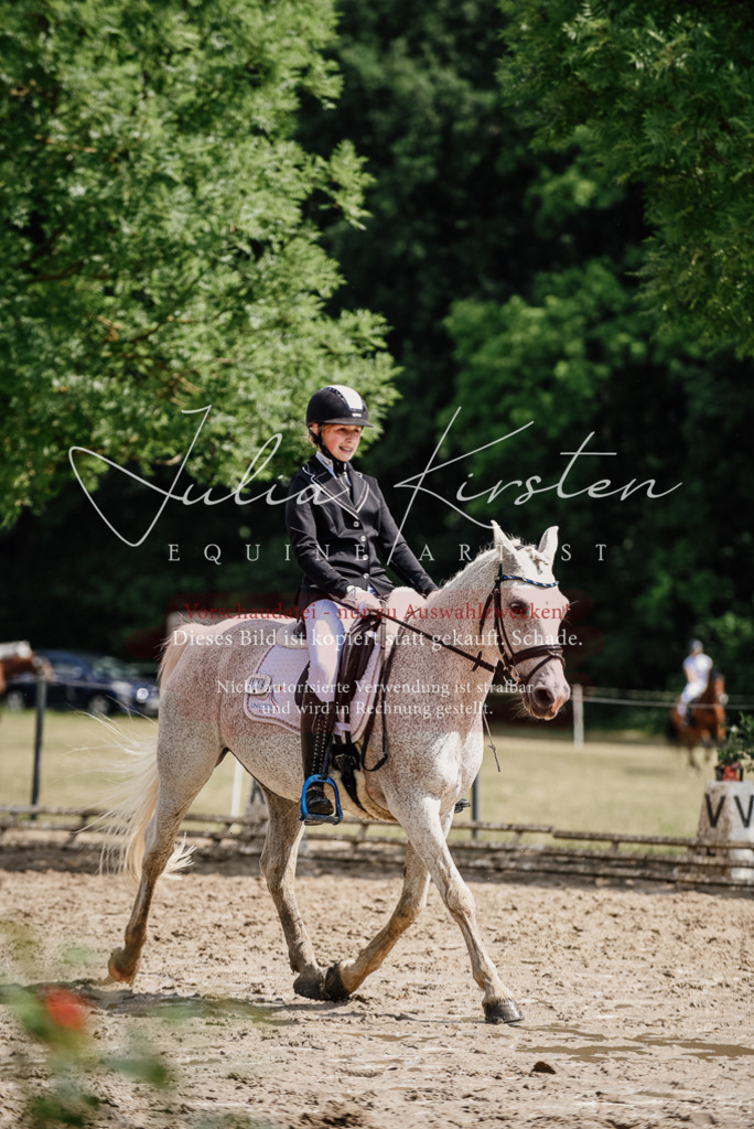 DSC_0520 | Pferde- und Turnierfotografie in Westsachsen. Pferdeportraits, Auftragszeichnungen und intuitive Kunst.