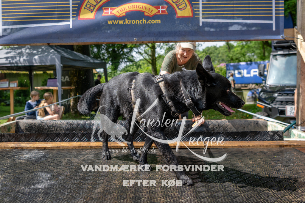 1105_ZZ92676 | kk-dogfotos