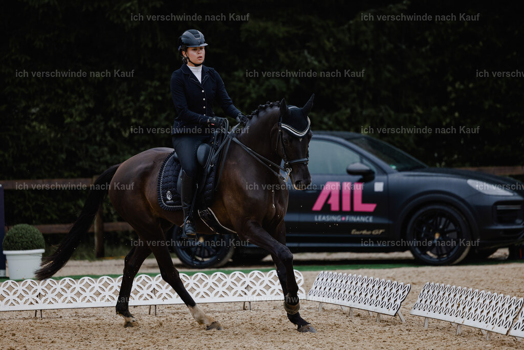Leonie24_FHC2025-6 | working equitationturnier fotograf videograf stoibphotography marixx film working equitation deutschland reitsport turnierfotografie eventfotografie equestrian events