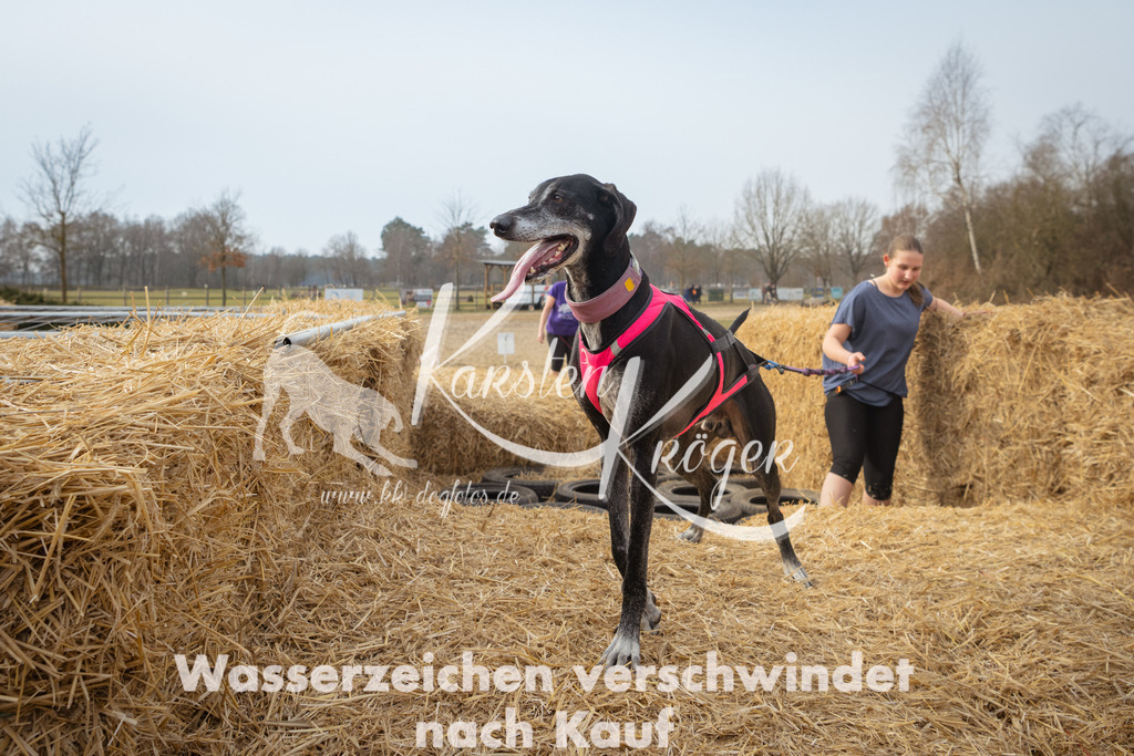 1039_ZZ97265 | kk-dogfotos