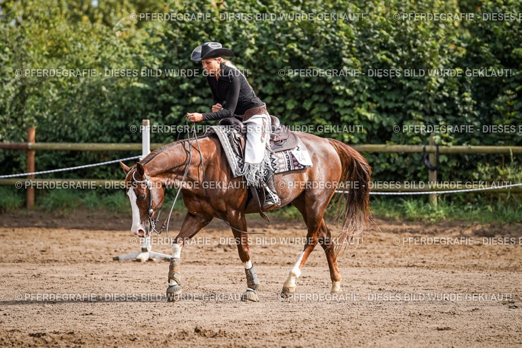 DSC09672 | Pferdegrafie