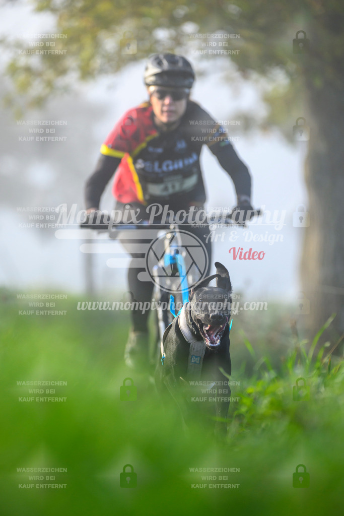 MompixPhotography_20TSB_E3_Bike-111 | PayLife