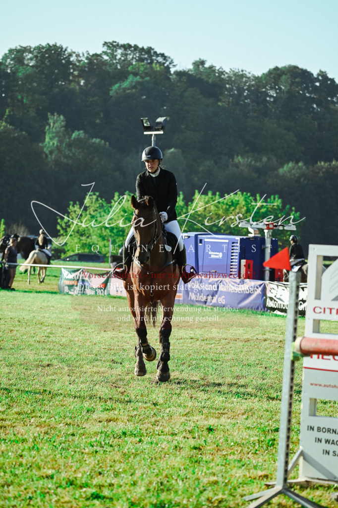 DSC_4504 | Pferde- und Turnierfotografie in Westsachsen. Pferdeportraits, Auftragszeichnungen und intuitive Kunst.