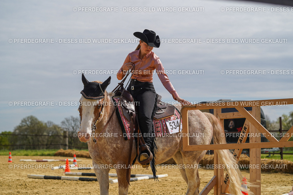 DSC04092 | Pferdegrafie