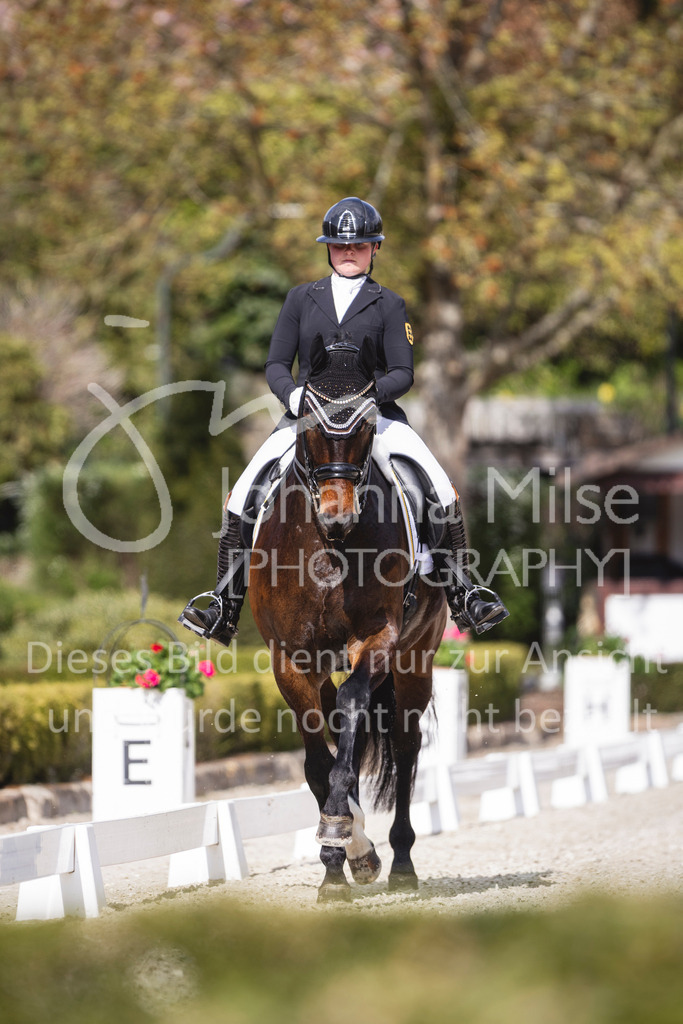 260411_Kronberg_Dressur-M2_Jun-400 | Deine schönsten Turniermomente als professionelle Fotos! Entdecke hochwertige Pferdesport-Fotografie im Online-Shop. Jetzt Fotos finden & bestellen!