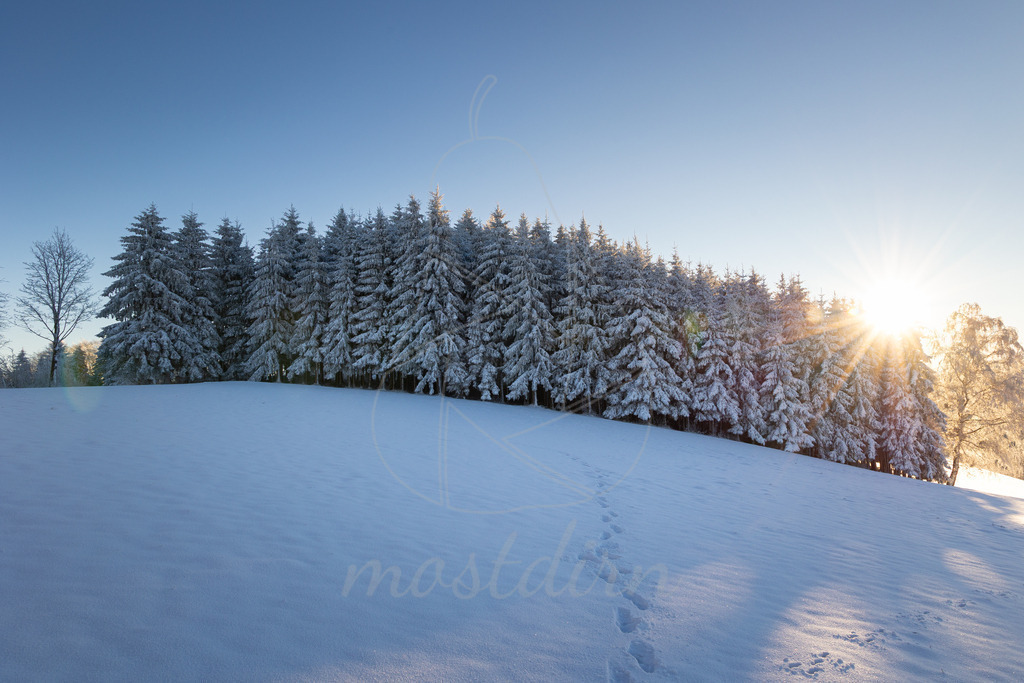 Winterwonderland Randegg | Ihre Fotografin im Lungau, ihre Fotografin im Mostviertel, Wandbilder Onlineshop, Imagefotos für Ihr Unternehmen,  - Realisiert mit Pictrs.com