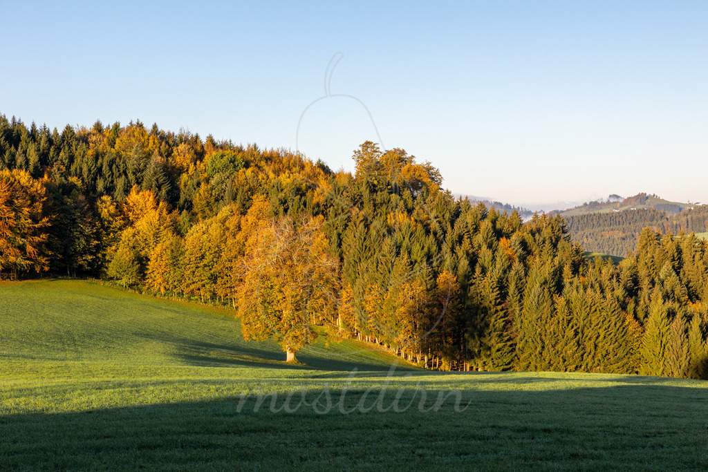 Herbstsonne Franzenreith Randegg | Ihre Fotografin im Lungau, ihre Fotografin im Mostviertel, Wandbilder Onlineshop, Imagefotos für Ihr Unternehmen,  - Realisiert mit Pictrs.com