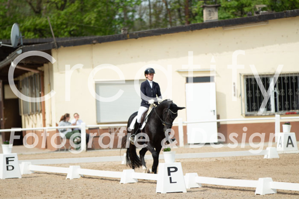 IMG_1747 | Creatify Fotografie