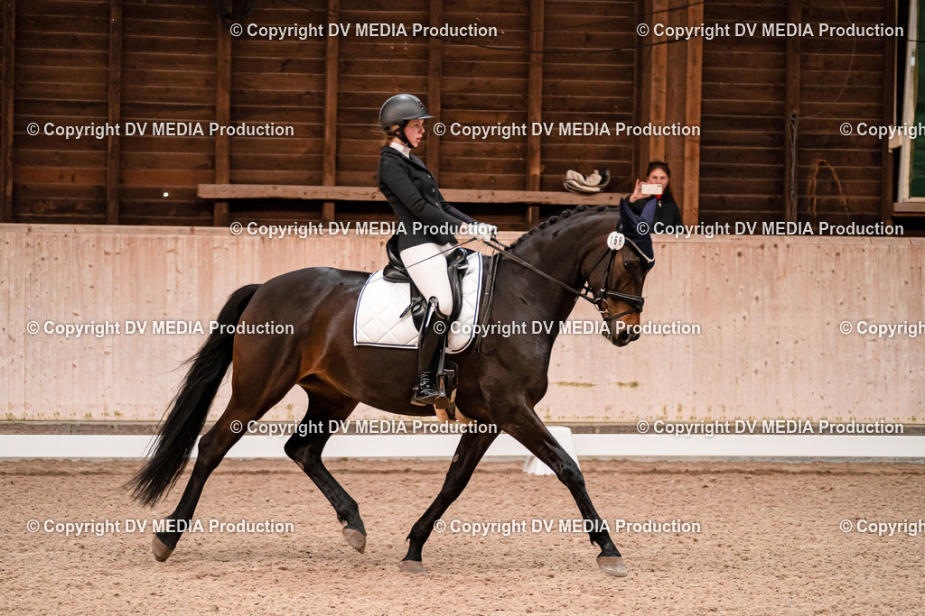 Dressur Tag 2-186 | dv-media-shop - Realisiert mit Pictrs.com