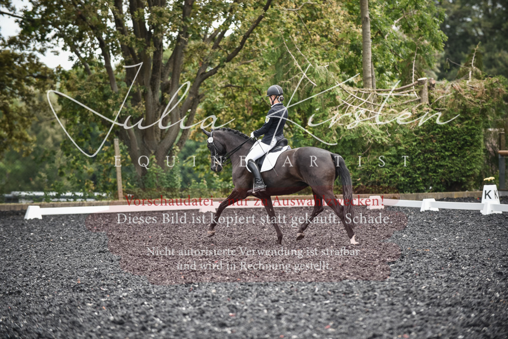 DSC_5063 | Pferde- und Turnierfotografie in Westsachsen. Pferdeportraits, Auftragszeichnungen und intuitive Kunst.