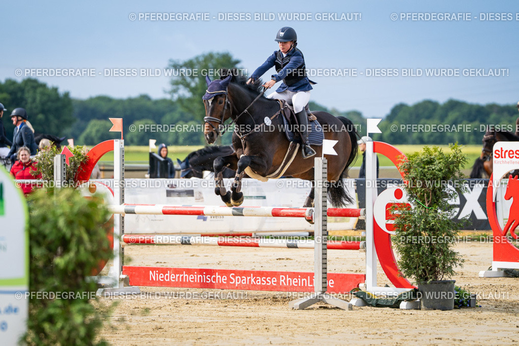 DSC03676 | Pferdegrafie