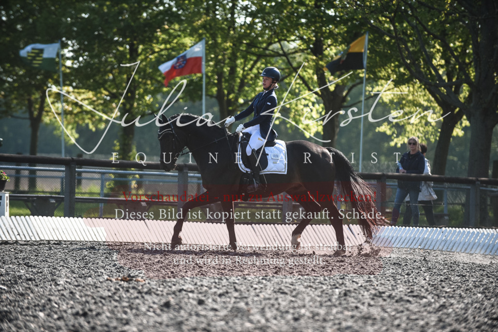 DSC_8557 | Pferde- und Turnierfotografie in Westsachsen. Pferdeportraits, Auftragszeichnungen und intuitive Kunst.