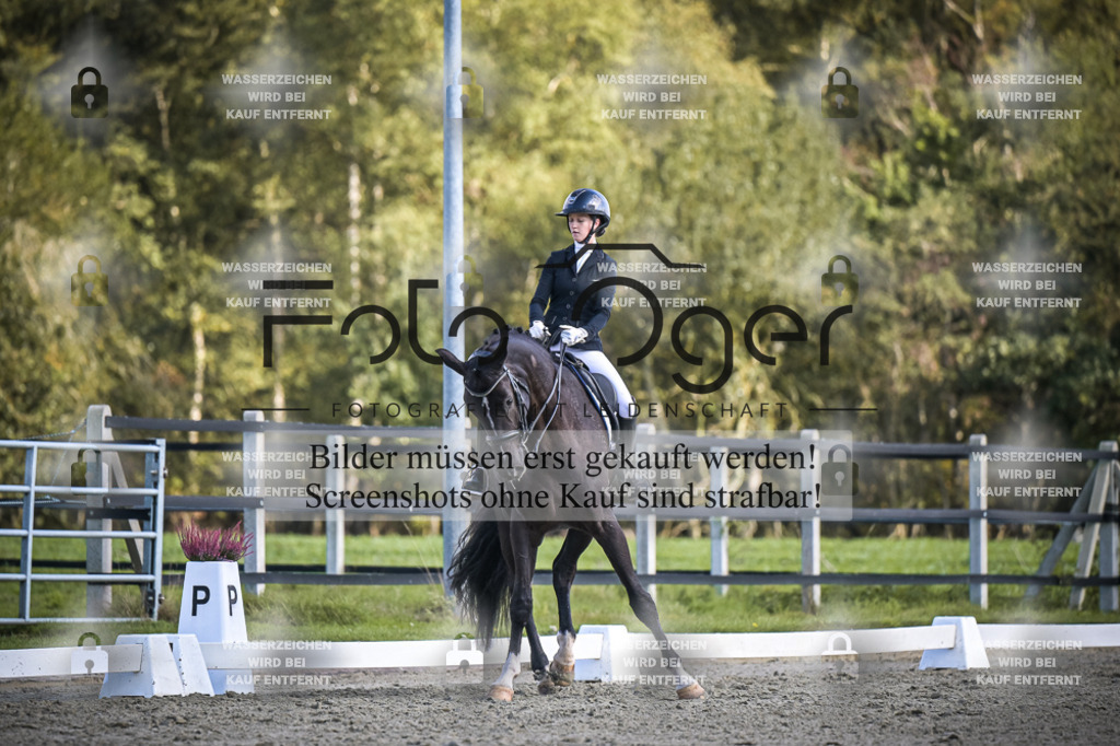 DOS_4279 | Entdecke hochwertige Reitturnierfotos von Foto Oger. Professionell, emotional und authentisch – jetzt Lieblingsmomente im Shop bestellen.Deutschlandweite Turnierfotografie. - Realisiert mit Pictrs.com