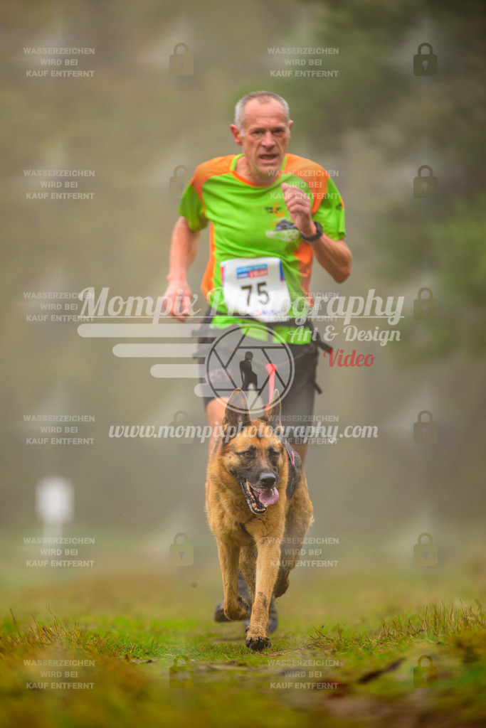 MompixPhotography_Bischwiller2025_Canicross-44 | mompixphotography