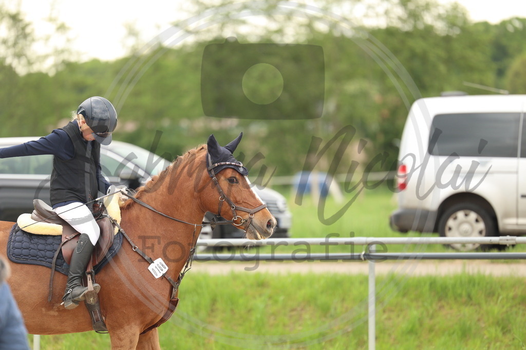 994A8856 | sabrinanicolaifotografie - Realisiert mit Pictrs.com