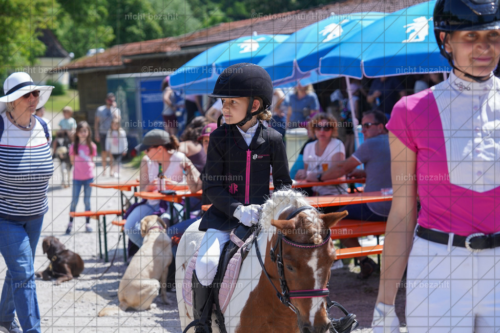 20230528-FAH09604 | Trakehner Championat 2023, bayern, RC Steinsee, Gut Niederseeon, Turnierbilder, reitsportfotograf, Buschreiter, Fotoagentur Herrmann, Turnierfotografen Bayern, Geländeprüfung, Reitturnierfotograf, Bilder Turnier Moosach
