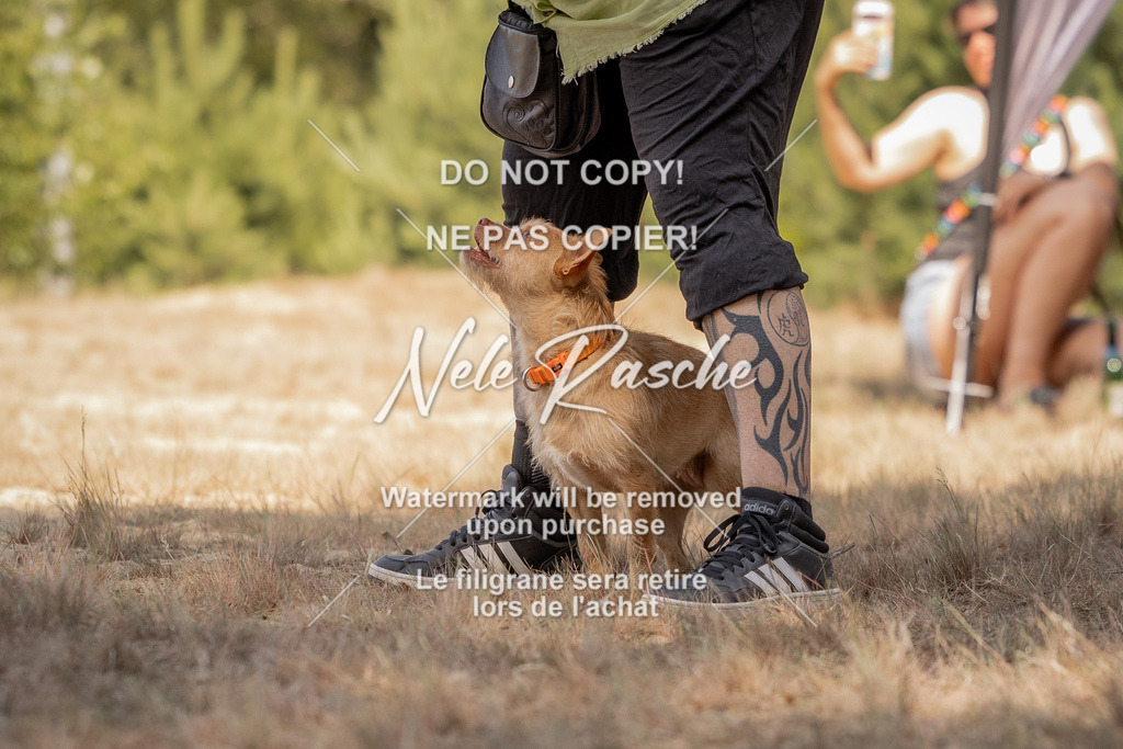 nelerasche_soDD2_68 | nelerasche
