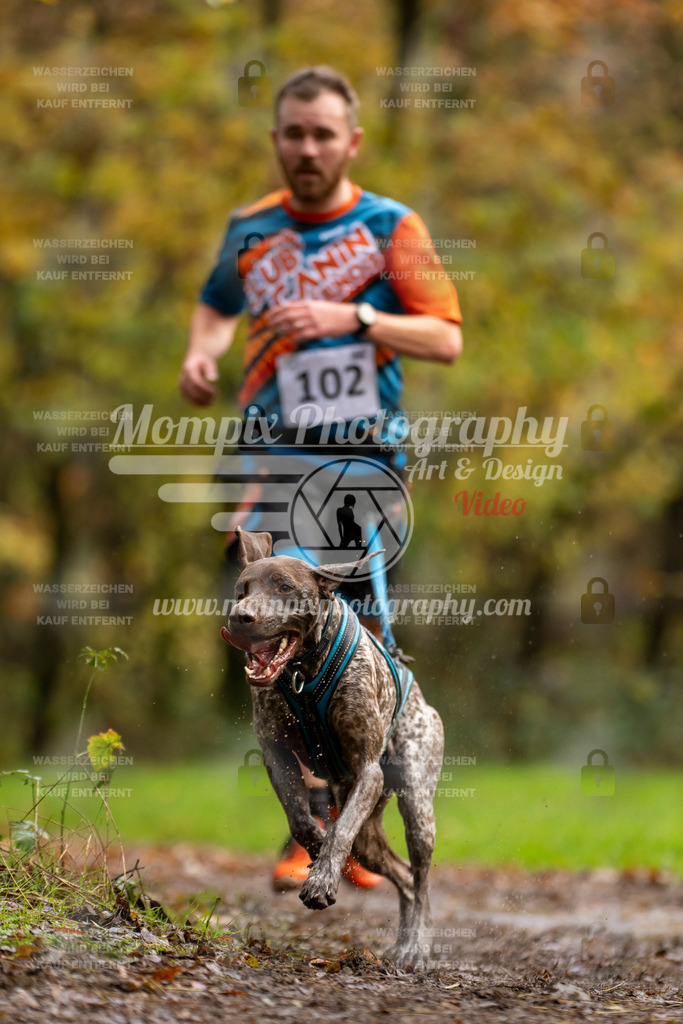 MompixPhotography_Bischwiller23_Canicross-48 | PayLife