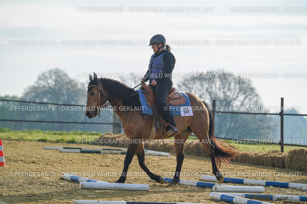 DSC00646 | Pferdegrafie