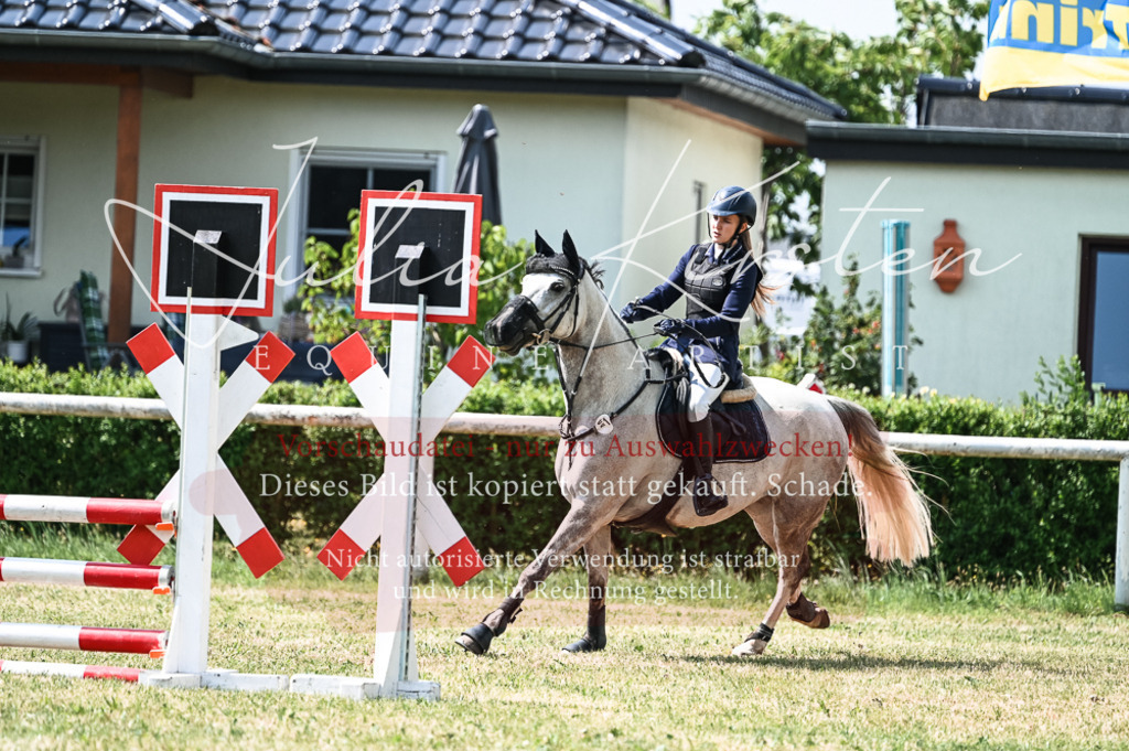 DSC_8802 | Pferde- und Turnierfotografie in Westsachsen. Pferdeportraits, Auftragszeichnungen und intuitive Kunst.