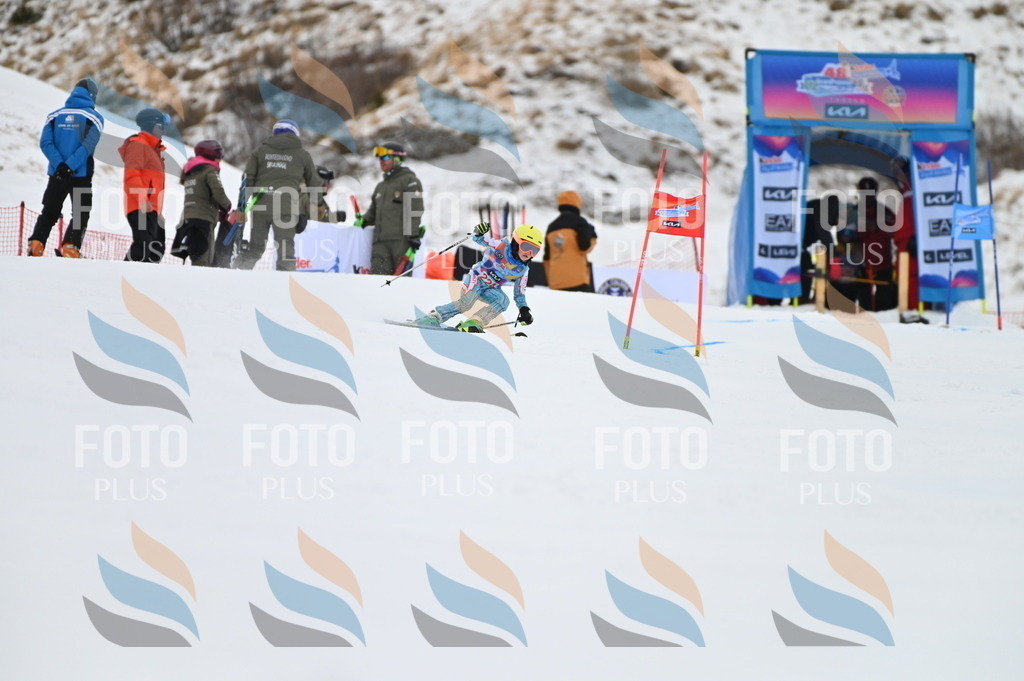 BGV_3232 | holidayphoto