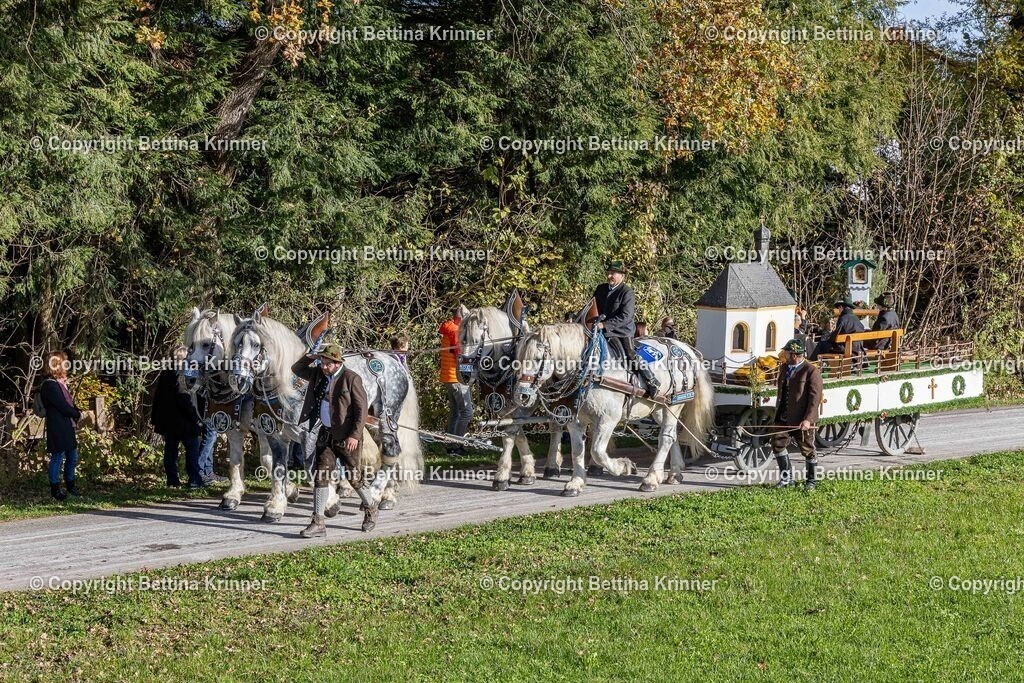 LBT24-475 | foto-bettina-krinner - Realisiert mit Pictrs.com