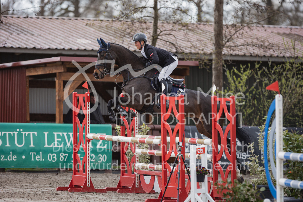 230411_Mühlen_03SprPf-L-399 | Deine schönsten Turniermomente als professionelle Fotos! Entdecke hochwertige Pferdesport-Fotografie im Online-Shop. Jetzt Fotos finden & bestellen!