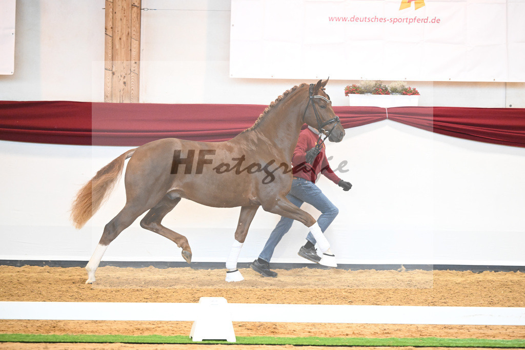Kat-Nr. 74 v. Le Formidable_Maier_66220319 | hf-fotografie - Realisiert mit Pictrs.com