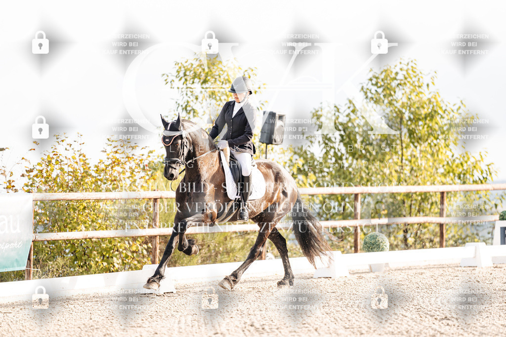 CK900348 | Turnierfotografie Pferdefotografie Trier Rheinland-Pfalz Pferdesport Reitsport Tierfotografie Sportfotografie Pferdevideo Pferdevideografie Equestrianvideography equestrianphotography  - Realisiert mit Pictrs.com