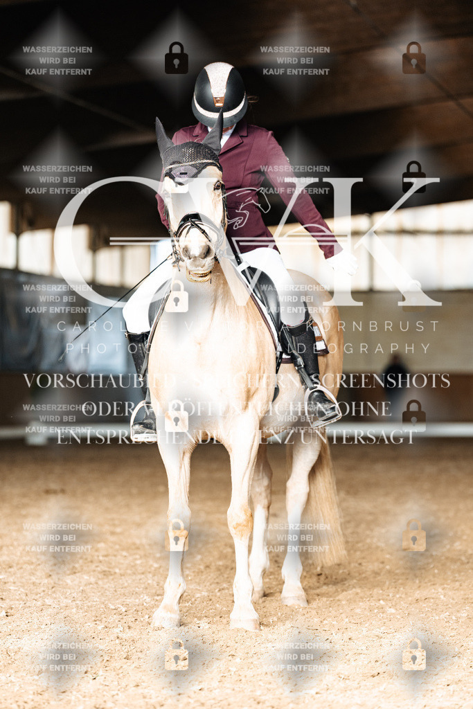 CK902677 | Turnierfotografie Pferdefotografie Trier Rheinland-Pfalz Pferdesport Reitsport Tierfotografie Sportfotografie Pferdevideo Pferdevideografie Equestrianvideography equestrianphotography  - Realisiert mit Pictrs.com