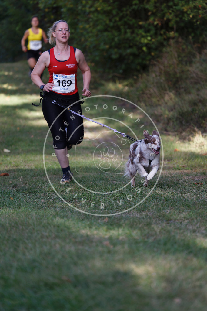 0L8A5303 | Hundefotografie, Tierfotograf, Pfotenfotografie, Fotoshooting Hund, Hunde Portrait, Hundesport, Hundeportraits, Heideshooting, Hunde, Sportfotograf, Hundefotograf, Turnierhundsport, THS,  - Realisiert mit Pictrs.com