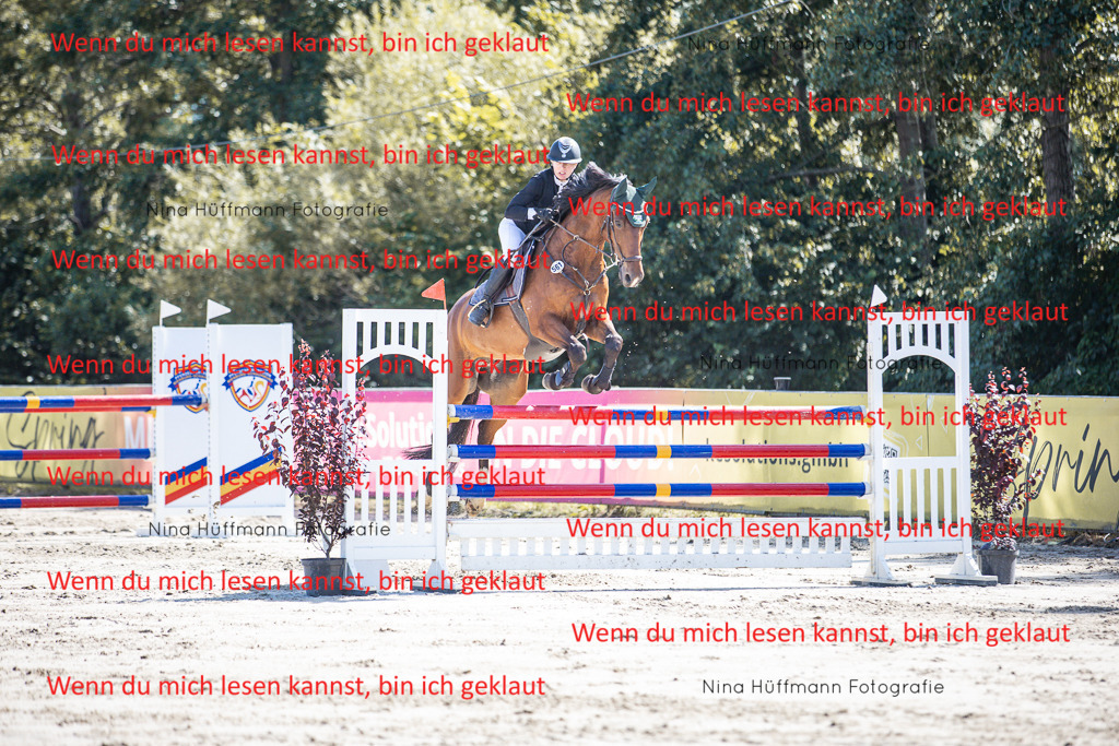 BK1A6847 | Turnierbilder Turnierfotos Nina Hüffmann Turnierfotografie Pferdefotografie Tierzeichnung Haustierzeichnung Pferdezeichnung Hundezeichnung Videograf  - Realisiert mit Pictrs.com