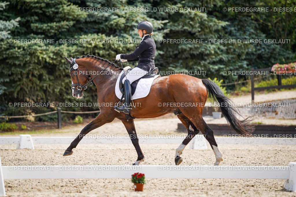 DSC00392 | Pferdegrafie