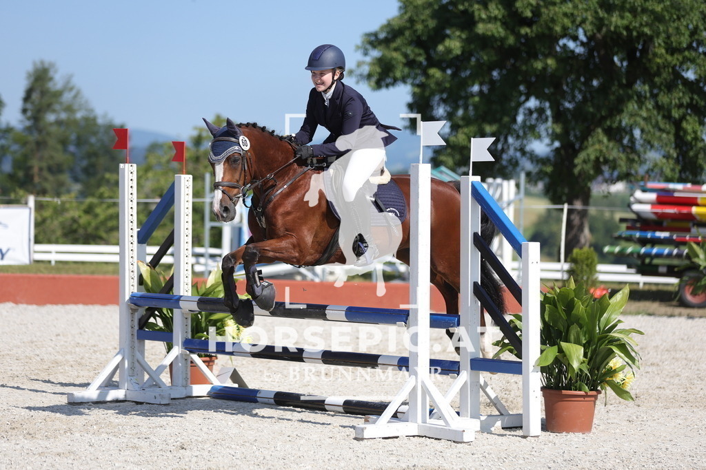0P6A7560 | Willkommen bei Brunnmayr - Design & Fotografie – Ihrem Spezialisten für Reitturniere und Pferdeveranstaltungen in Oberösterreich, Salzburg und Bayern! Seit über 17 Jahren sind wir leidenschaftlich dabei.