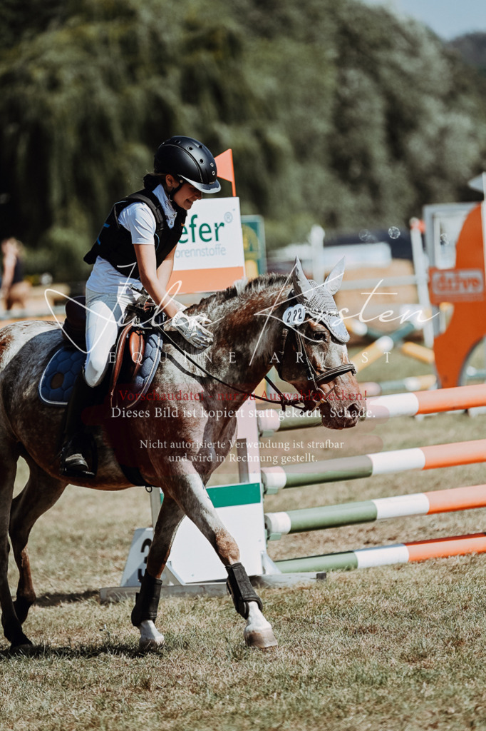DSC_9765 | Pferde- und Turnierfotografie in Westsachsen. Pferdeportraits, Auftragszeichnungen und intuitive Kunst.