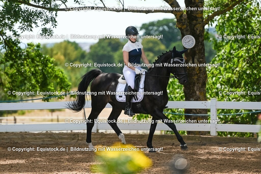 20230715_09_Dressur-WB_0216 | equistock