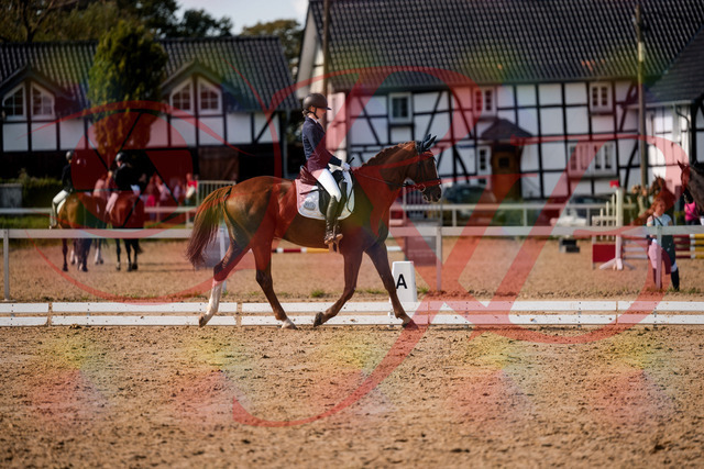 2026_10_03_Siefer-Hof_132901_Z63_90801161 | Professionelle Reitsport-, Turnier- und Eventfotografie von Robert Broda. Galerien mit ausgewählten und bearbeiteten Bildern direkt online ansehen und bestellen.
