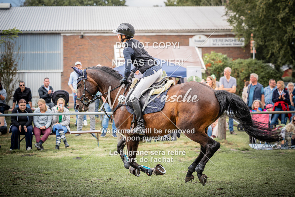 nelerasche_KlDerbyEde_138 | nelerasche