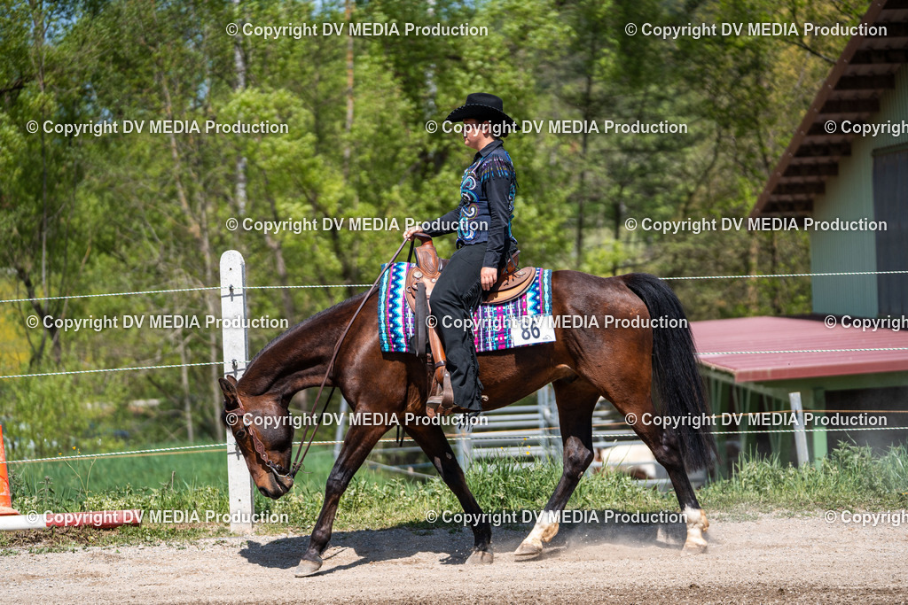 Balingen Tag 2-1100 | dv-media-shop - Realisiert mit Pictrs.com