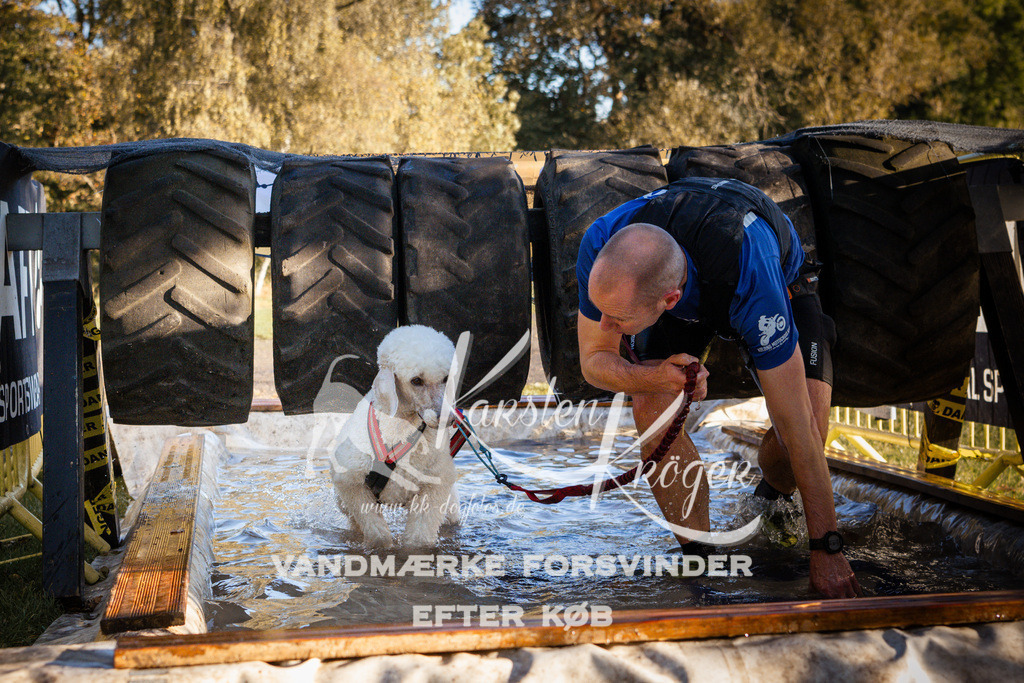 0915_ZZ90339 | kk-dogfotos