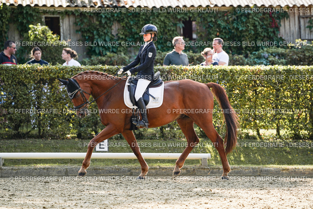 DSC08458 | Pferdegrafie