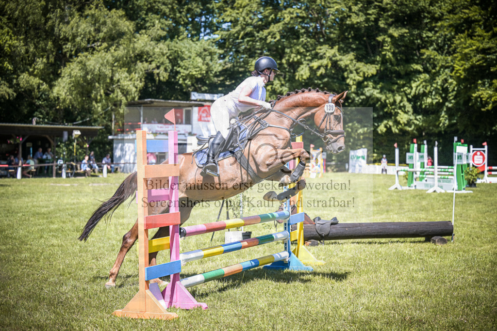 DOS_3788 | Entdecke hochwertige Reitturnierfotos von Foto Oger. Professionell, emotional und authentisch – jetzt Lieblingsmomente im Shop bestellen.Deutschlandweite Turnierfotografie. - Realisiert mit Pictrs.com