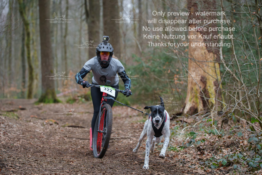 Scooter_So-38 | stephaniefillaphotographie - Realisiert mit Pictrs.com