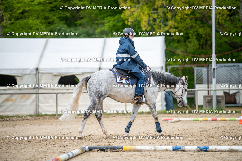 Heiligenwald Tag 2-1687 | dv-media-shop - Realisiert mit Pictrs.com