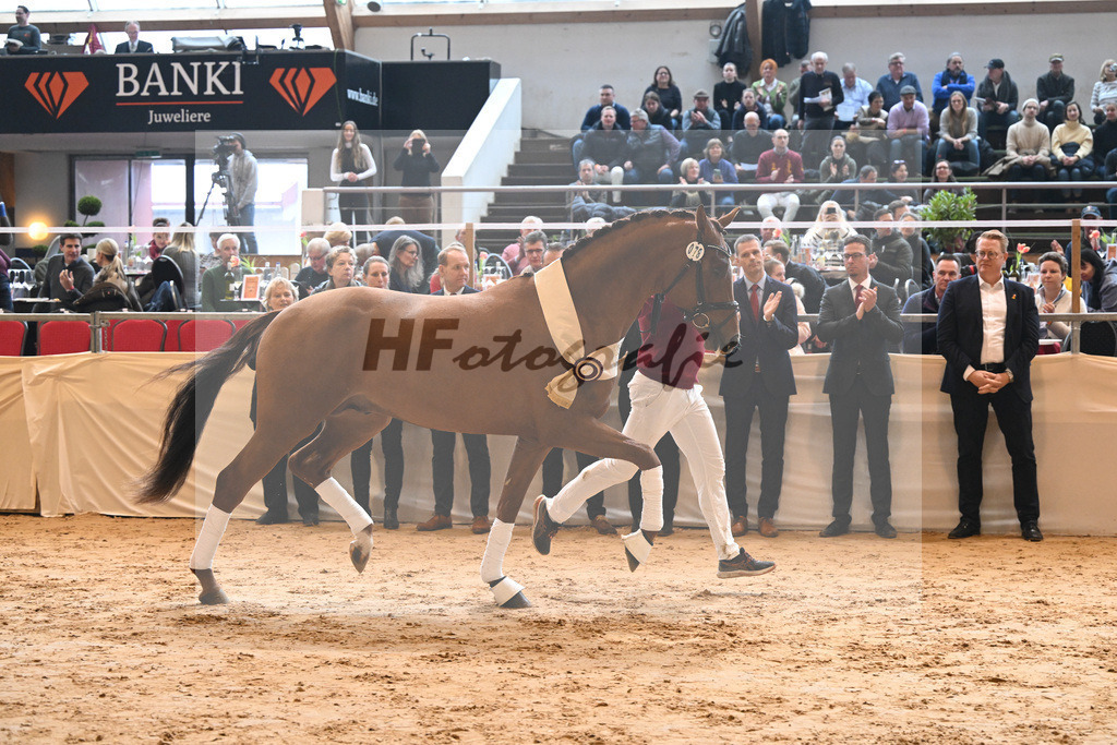 Kat-Nr. 78 Viva Gold_Casper u Eulich_1232361 | hf-fotografie - Realisiert mit Pictrs.com