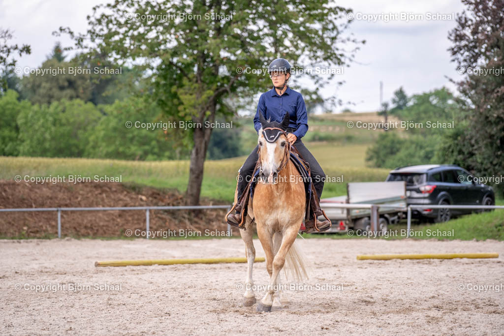 KBB06565 | BS-foto